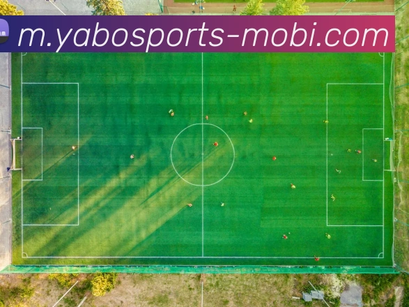 亚博体育APP 体育赛事宣传图